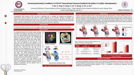 Assessing boundary conditions in CFD for transvalvular pressure gradient calculation in cardiac hemodynamics