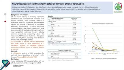 Neuromodulation in electrical storm: safety and efficacy of renal denervation