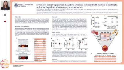 Presentation thumbnail