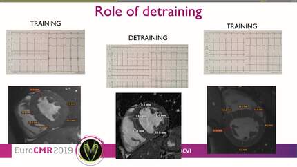 Presentation thumbnail
