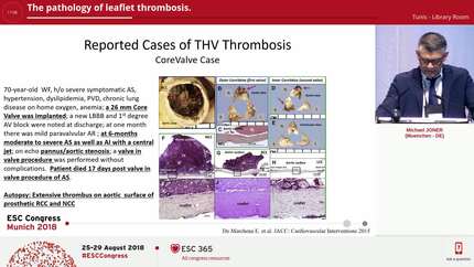 Presentation thumbnail