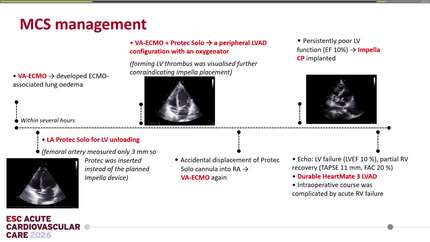 Presentation thumbnail