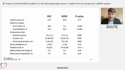 Impact of atrial fibrillation pattern on left atrial appendage closure: insights from the prospective LAARGE registry