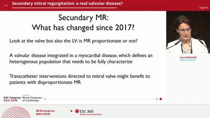 Presentation thumbnail