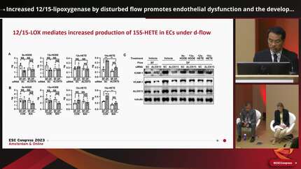 Increased 12/15-lipoxygenase by disturbed flow promotes endothelial dysfunction and the development of atherosclerosis
