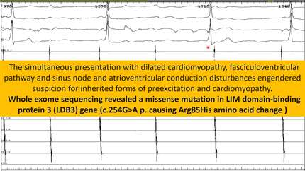 Presentation thumbnail