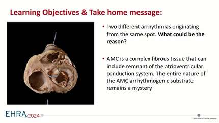 Presentation thumbnail