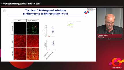 Presentation thumbnail