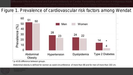 Differential effects of visceral and epicardial adiposity on cardiac remodeling and function in indigenous adults