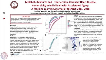 Interpretable machine learning for detecting coronary heart disease comorbidity in hypertension: key roles of cardiometabolic indices