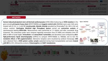 Presentation thumbnail