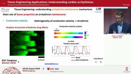 Tissue Engineering Applications: Understanding cardiac arrhythmias.