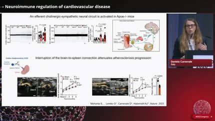 A two-way street: bidirectional heart - brain communication in cardio and cerebro-vascular disease