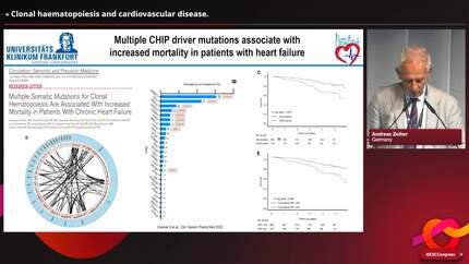 Presentation thumbnail