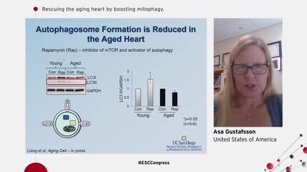 Rescuing the aging heart by boosting mitophagy.