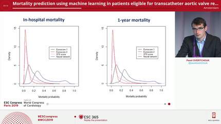 Mortality prediction using machine learning in patients eligible for transcatheter aortic valve replacement: insights from the FRANCE-TAVI registry