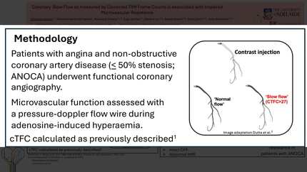 Presentation thumbnail