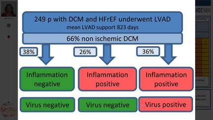 Presentation thumbnail