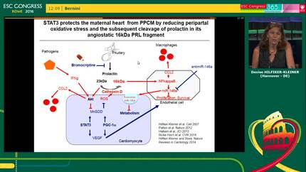 Presentation thumbnail