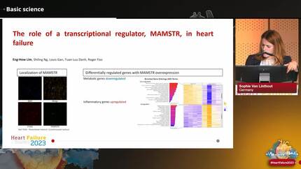 Presentation thumbnail