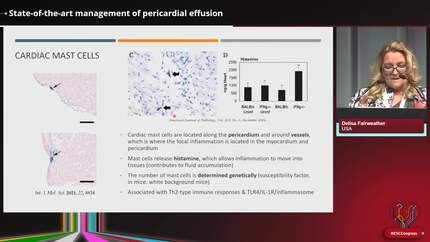 Presentation thumbnail
