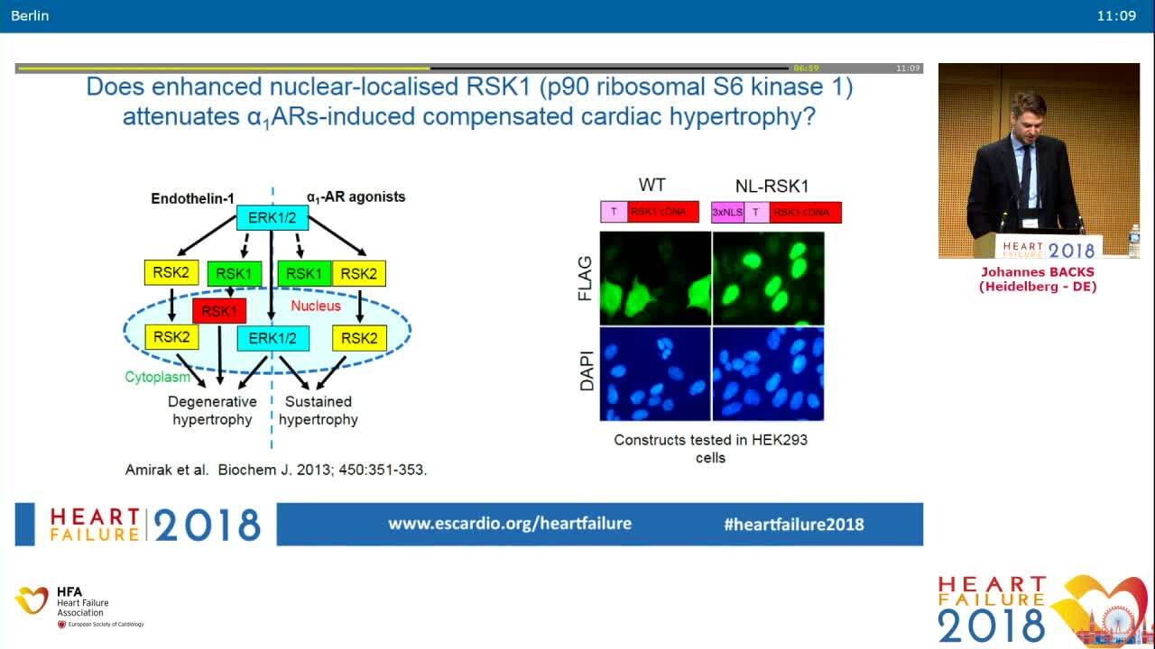 Basic and translational science