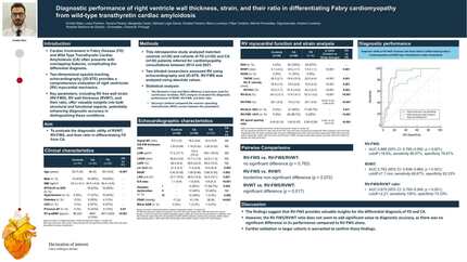 Diagnostic performance of right ventricle wall thickness, strain, and their ratio in differentiating Fabry cardiomyopathy from wild-type transthyretin cardiac amyloidosis