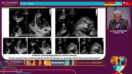 Presentation thumbnail