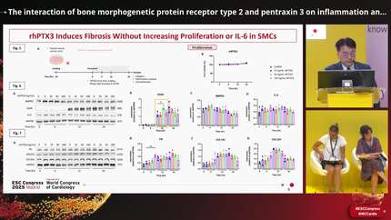 The interaction of bone morphogenetic protein receptor type 2 and pentraxin 3 on inflammation and fibrosis: implications for pulmonary hypertension