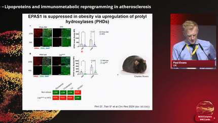 Presentation thumbnail