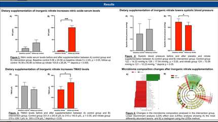 Presentation thumbnail