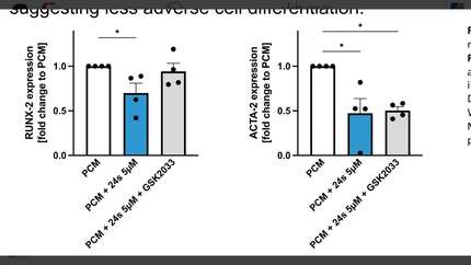 Presentation thumbnail