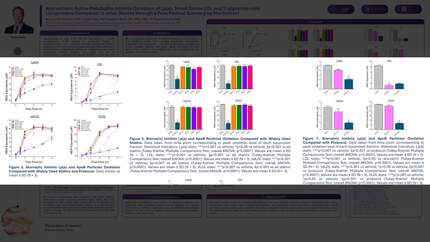 Presentation thumbnail