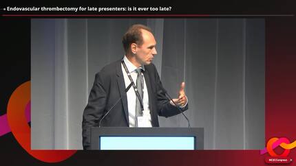 Meet the Experts: saving the brain during acute ischaemic stroke