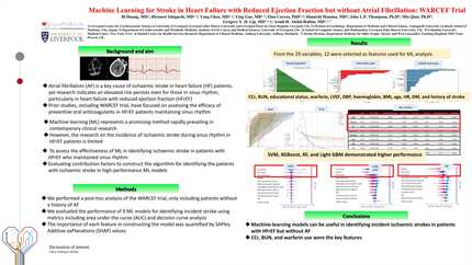 Machine learning identification of risk factors for ischaemic stroke in patients with heart failure with reduced ejection fraction but without atrial fibrillation: A report from WARCEF trial
