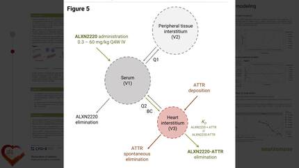 Prediction of cardiac ATTR depletion by ALXN2220 using mechanistic PK/PD modeling