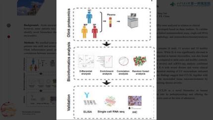 Presentation thumbnail