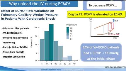 Presentation thumbnail