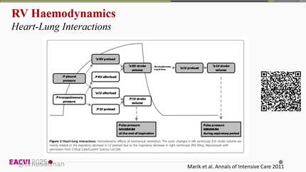 Echocardiography-based decision-making in critically ill patients