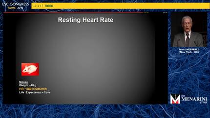 Presentation thumbnail