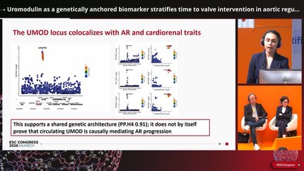 Uromodulin as a genetically anchored biomarker stratifies time to valve intervention in aortic regurgitation