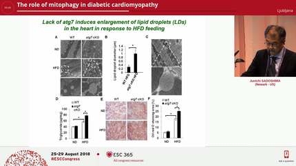 The role of mitophagy in diabetic cardiomyopathy