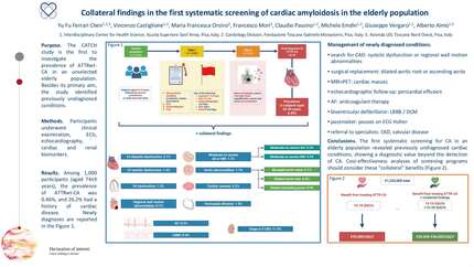 Incidental findings from the first prospective systematic screening of cardiac amyloidosis in the elderly