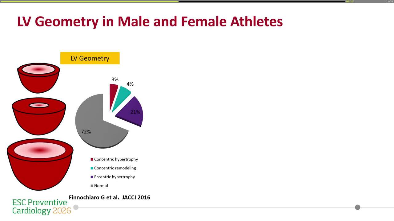 When chromosomes make the difference: female vs male athletes’ heart