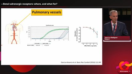 Presentation thumbnail