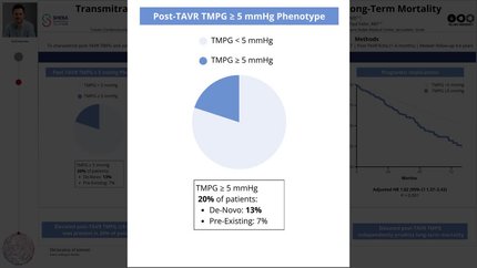 Transmitral mean pressure gradient after transcatheter aortic valve replacement and late mortality