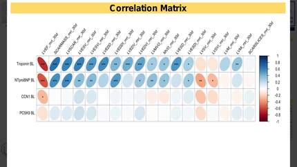 Presentation thumbnail