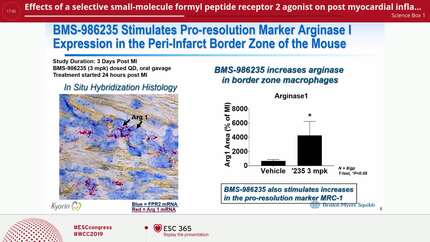 Effects of a selective small-molecule formyl peptide receptor 2 agonist on post myocardial inflammation and left ventricular structure-function relationships