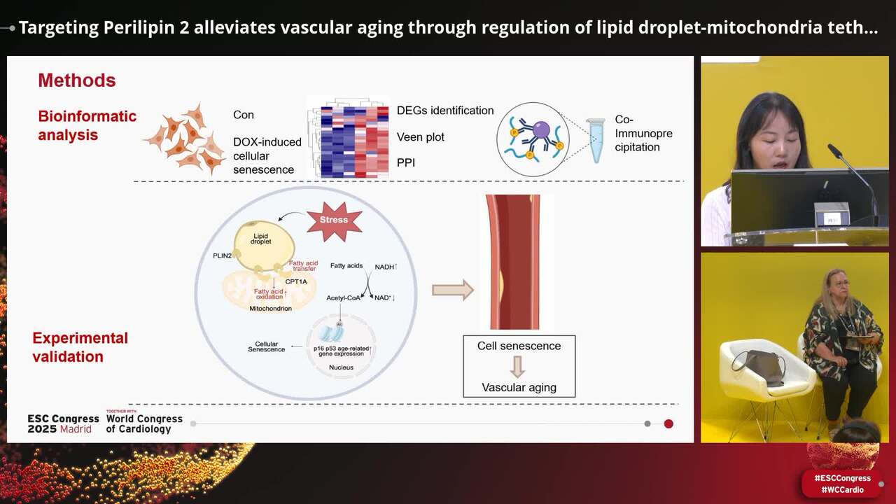 Metabolic reprogramming and crosstalk in cardiometabolic and vascular disease