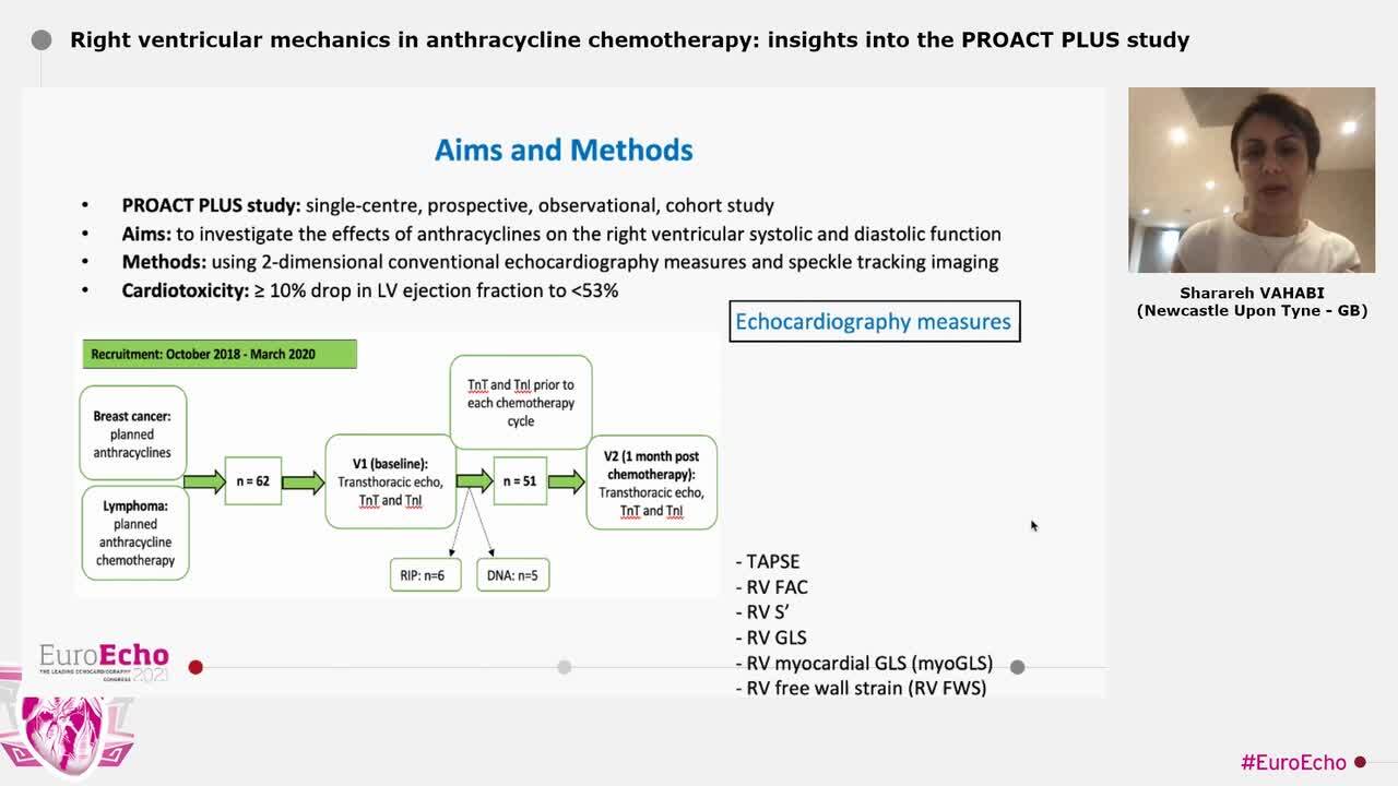 Right ventricular mechanics in anthracycline chemotherapy: insights into the PROACT PLUS study